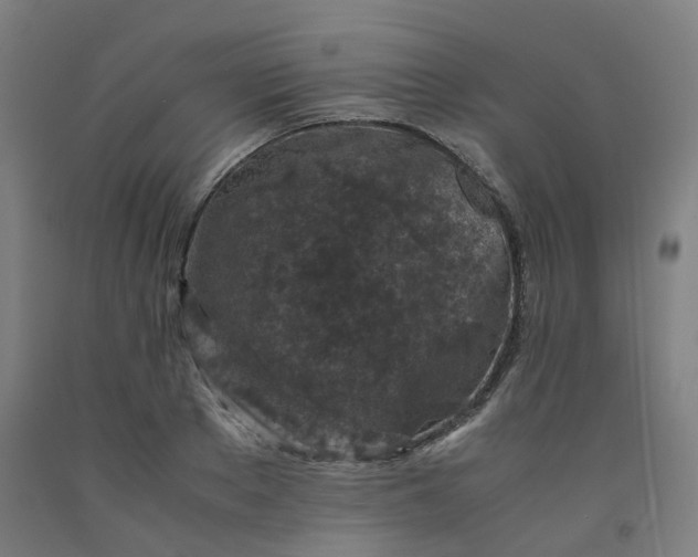 X0000092250889200709281142