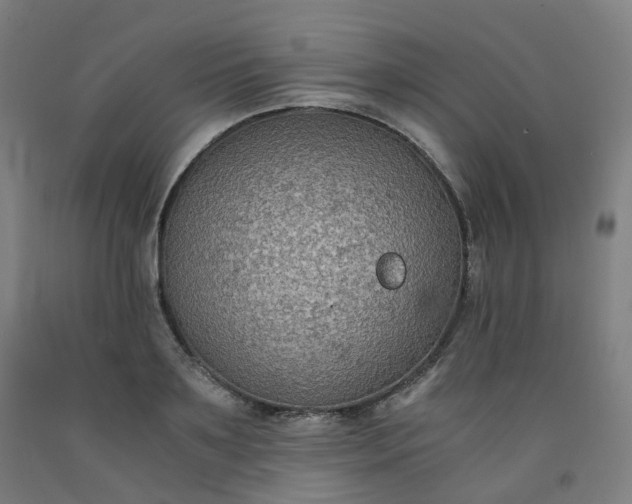 X0000092250891200709281142