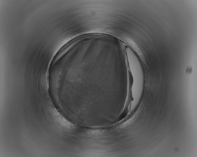 X0000092250892200709281142