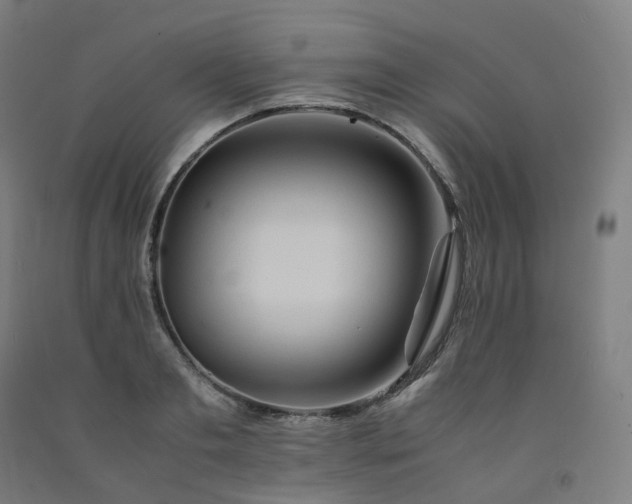 X0000092250893200709281141