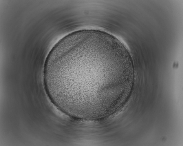 X0000092250895200709281141