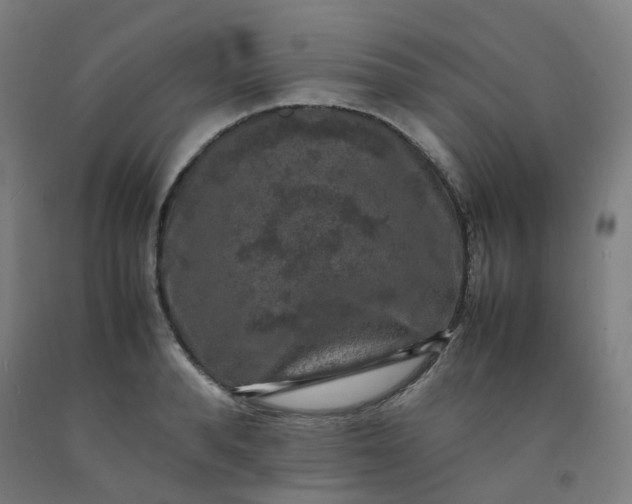 X0000092250896200709281141