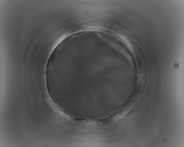 X0000092250899200709281141