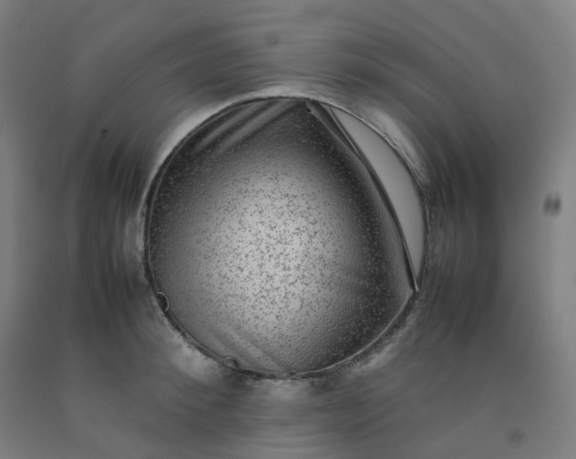 X0000092250900200709281141