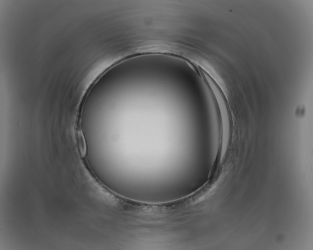 X0000092250901200709281141