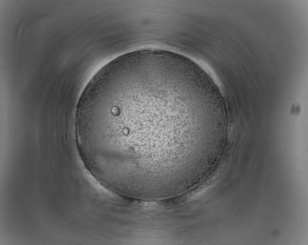 X0000092250903200709281141