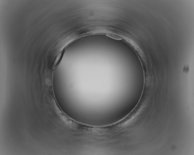 X0000092250905200709281141