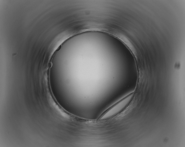 X0000092250906200709281141