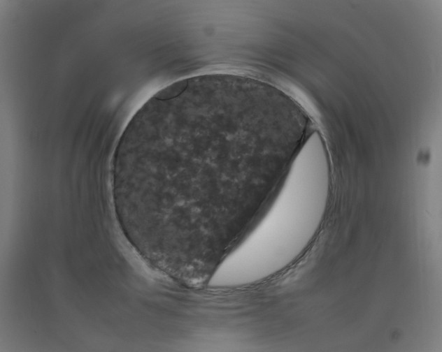 X0000092250907200709281141