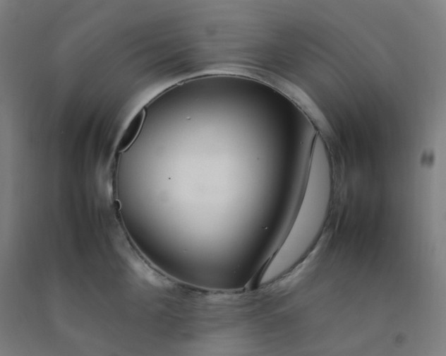 X0000092250908200709281141