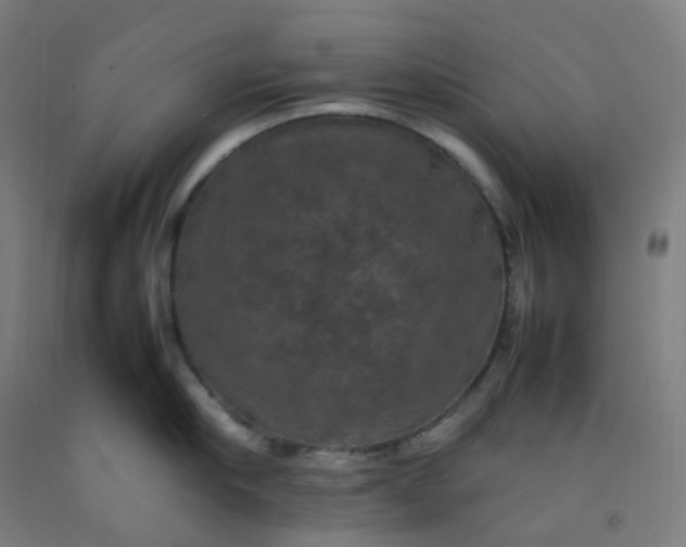 X0000092250910200709281141