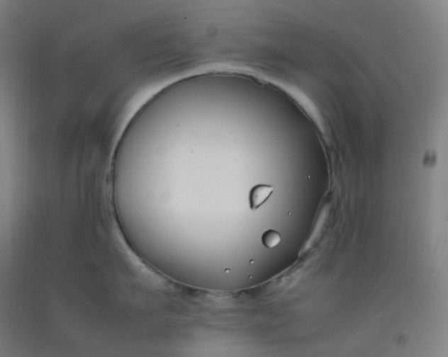 X0000092250911200709281141