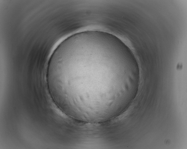 X0000092250912200709281141