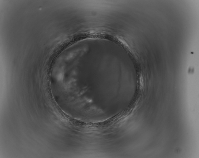 X0000092250913200709281141