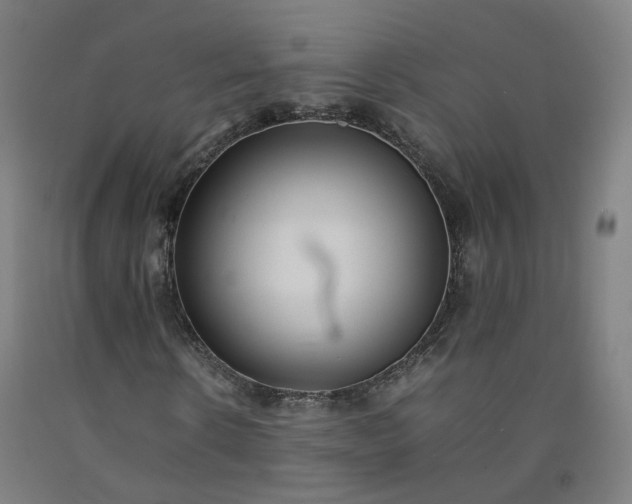 X0000092250914200709281141