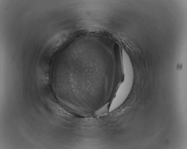 X0000092250916200709281141