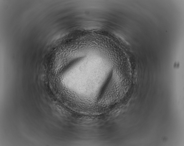 X0000092250917200709281141