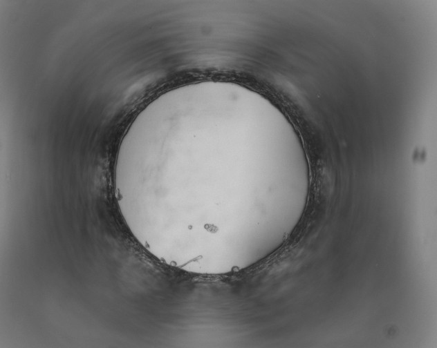 X0000092250918200709281141