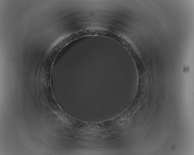 X0000092250919200709281141