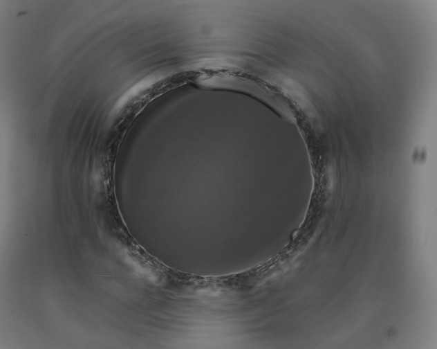 X0000092250920200709281141