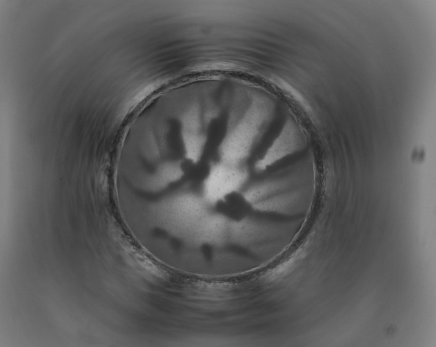 X0000092250921200709281141