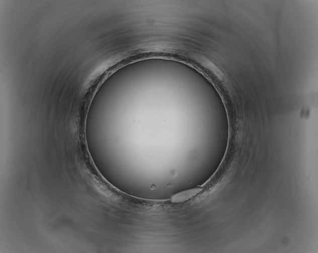 X0000092250922200709281141