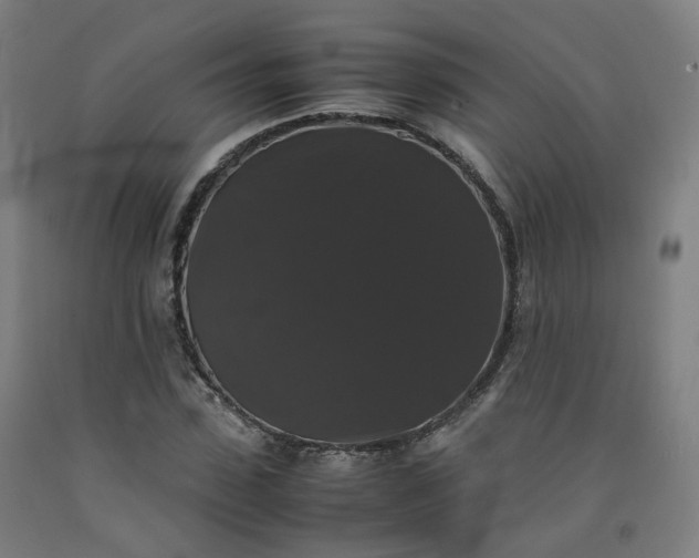 X0000092250923200709281141