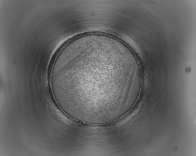 X0000092250924200709281141