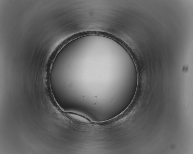 X0000092250926200709281141