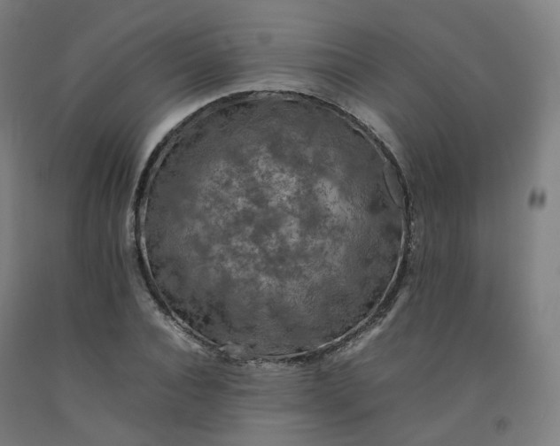 X0000092250928200709281141