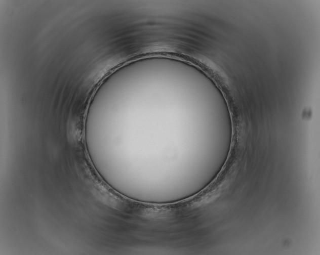 X0000092250929200709281141