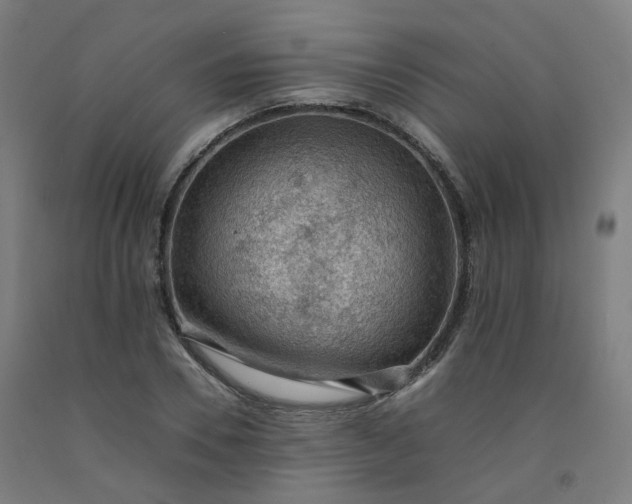 X0000092250930200709281141