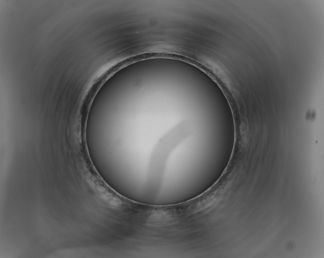 X0000092250931200709281141