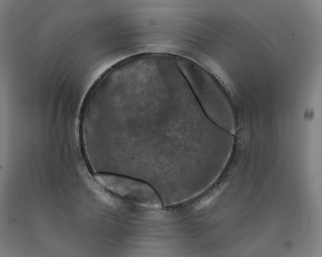 X0000092250932200709281141