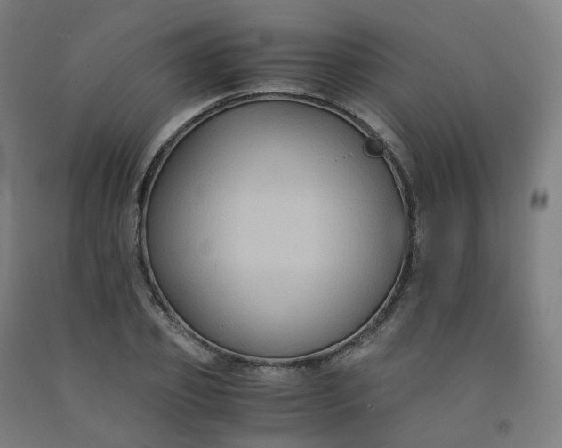 X0000092250933200709281141