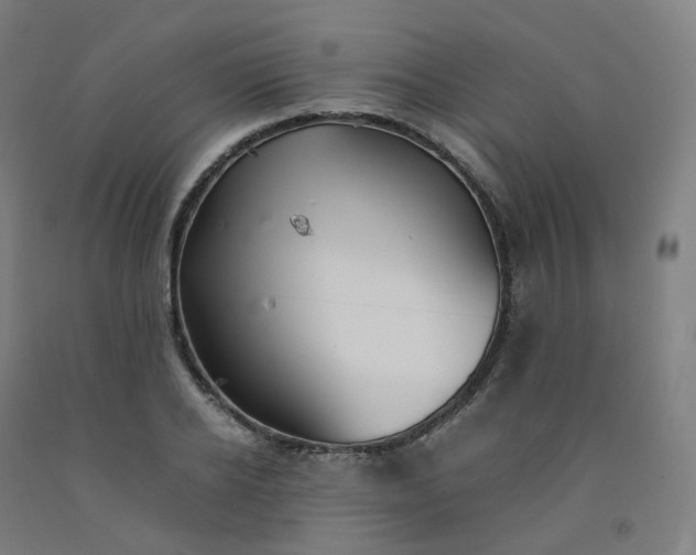 X0000092250934200709281141