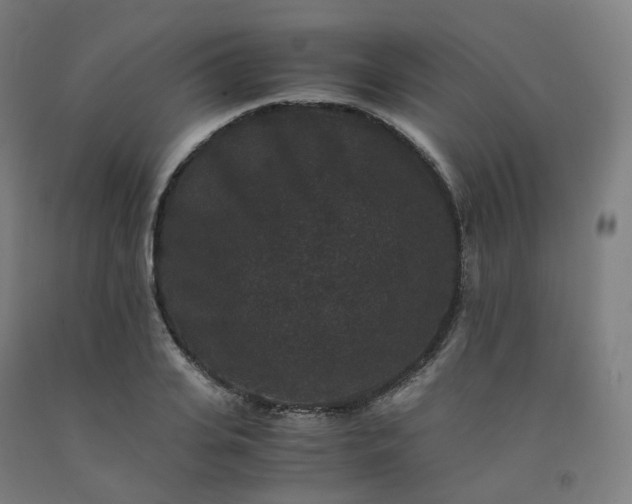 X0000092250935200709281141