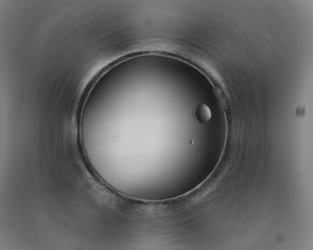 X0000092250936200709281141