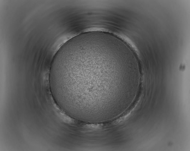 X0000092250937200709281141