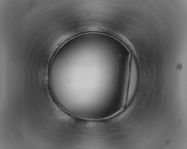 X0000092250938200709281141