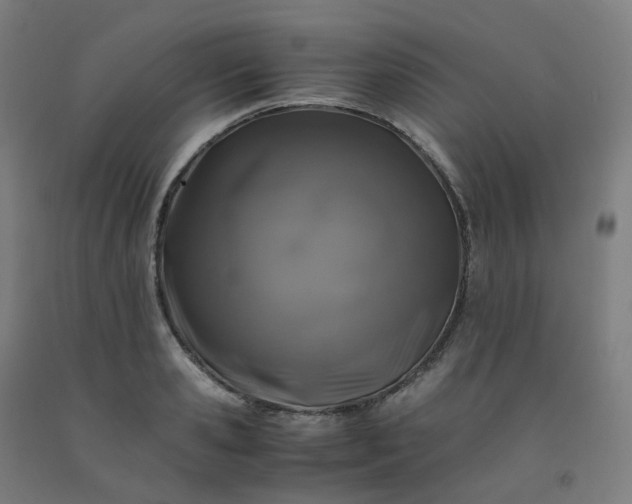 X0000092250941200709281141