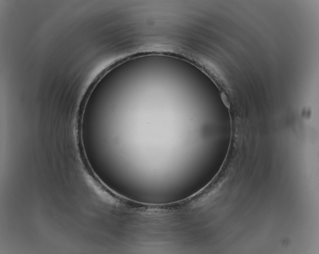 X0000092250942200709281141