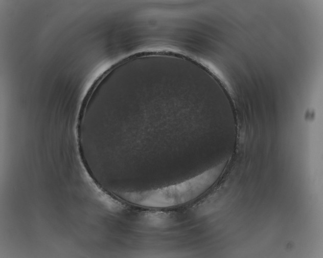 X0000092250943200709281141