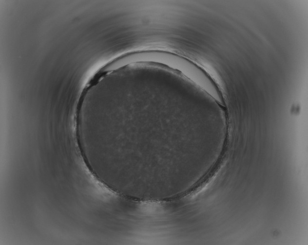 X0000092250944200709281141