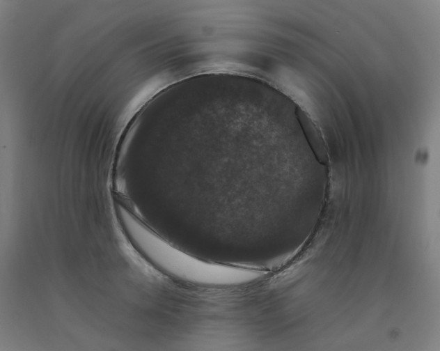 X0000092250946200709281141