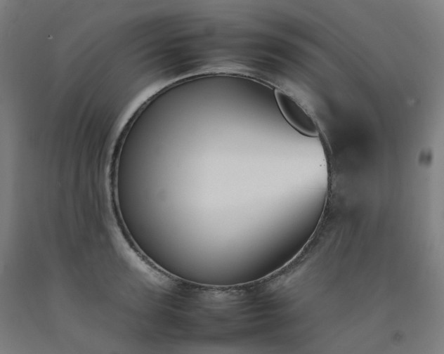 X0000092250947200709281141