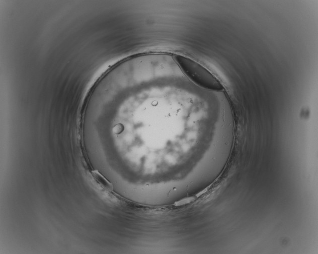 X0000092250948200709281141