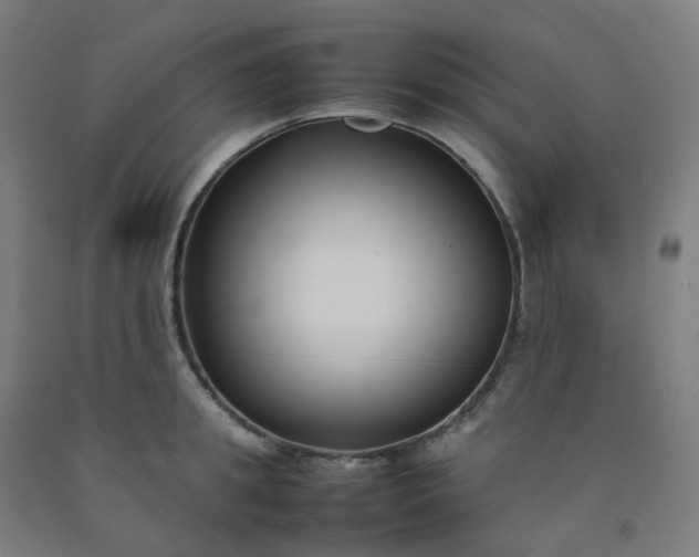 X0000092250949200709281141