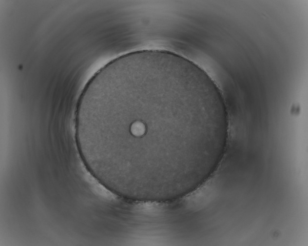 X0000092250950200709281141