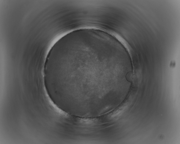 X0000092250951200709281141